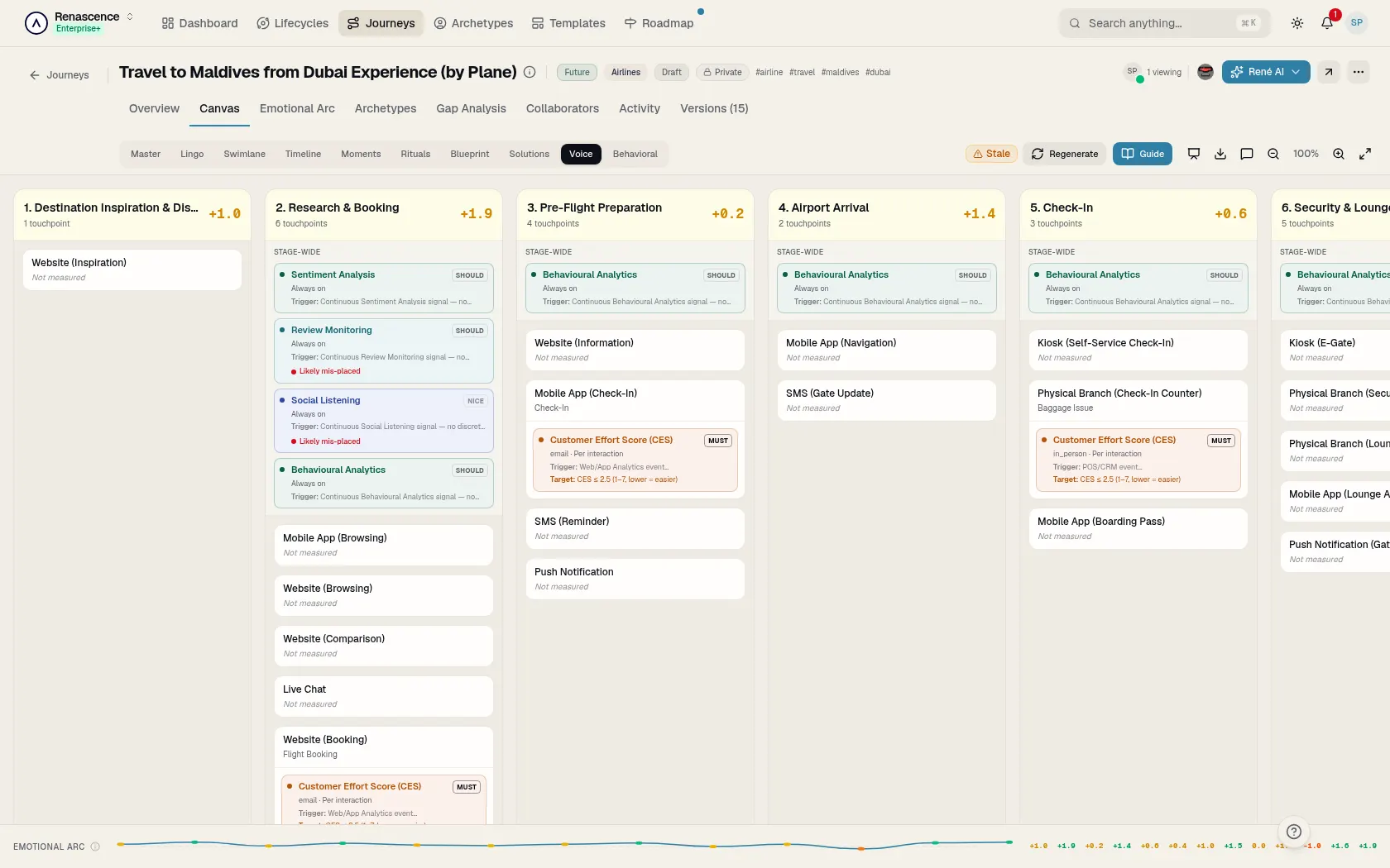 Screenshot of Voice of Customer in the René customer-journey workspace
